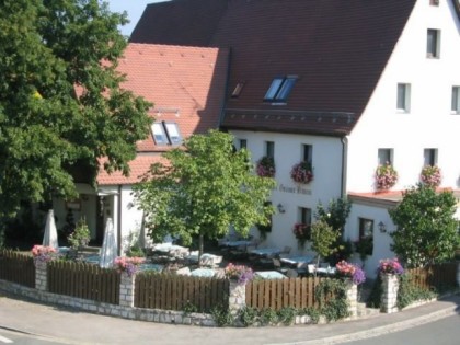 Foto: Grüner Baum 